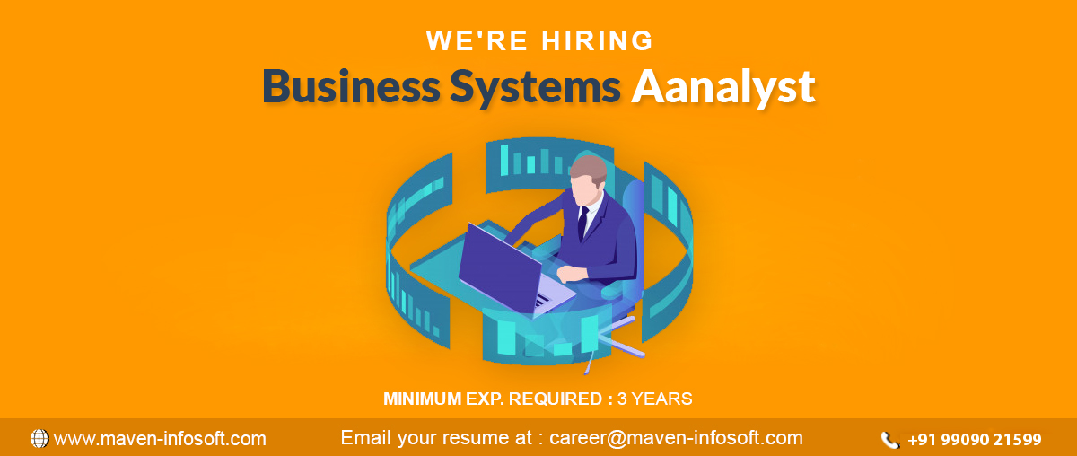 Business Systems Aanalyst
